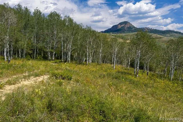 663 GCR 281 Kremmling, CO 80459