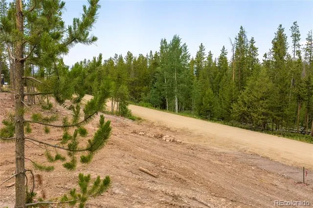 224 County Road 8342 Fraser, CO 80442