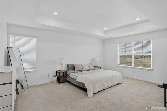 5761 Piney River Place Brighton, CO 80601