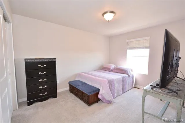 8219 Grey Bark Way Colorado Springs, CO 80908