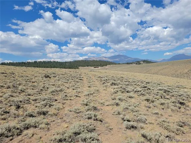 tbd Twin Lakes, CO 81251