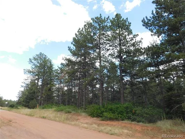 8169 Bannock Drive Larkspur, CO 80118