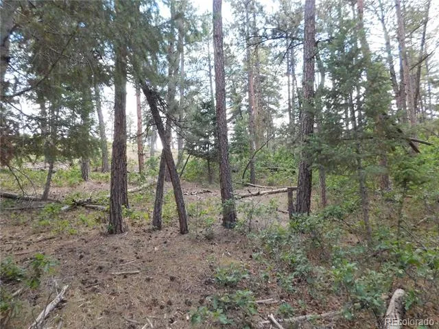 8169 Bannock Drive Larkspur, CO 80118