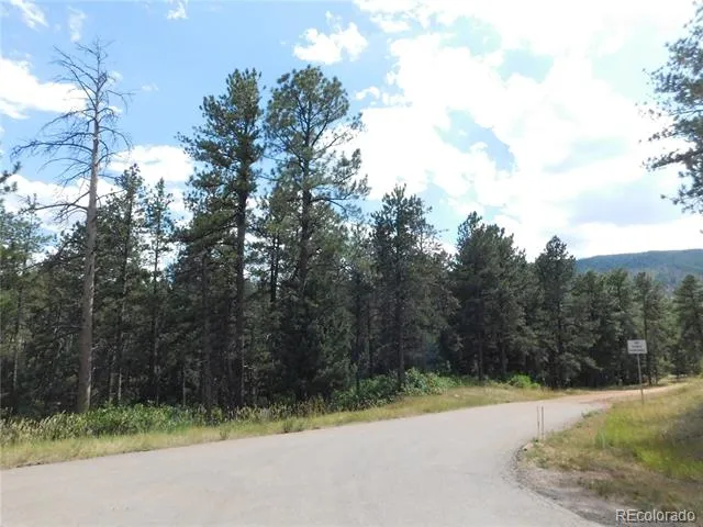 8169 Bannock Drive Larkspur, CO 80118