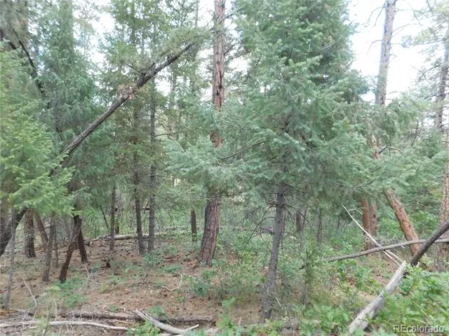 8169 Bannock Drive Larkspur, CO 80118