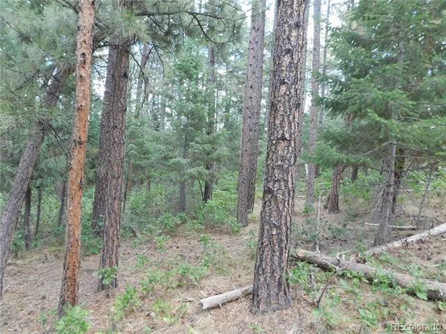8169 Bannock Drive Larkspur, CO 80118