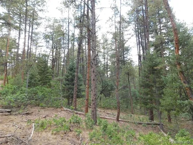 8169 Bannock Drive Larkspur, CO 80118