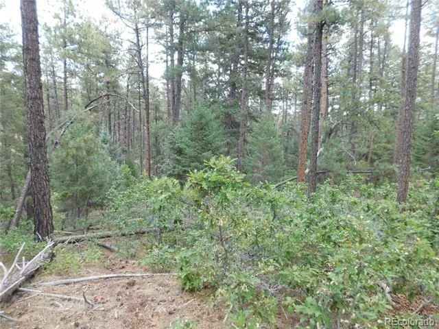8169 Bannock Drive Larkspur, CO 80118