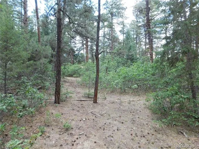 8169 Bannock Drive Larkspur, CO 80118
