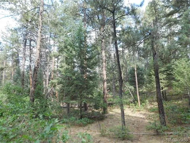 8169 Bannock Drive Larkspur, CO 80118