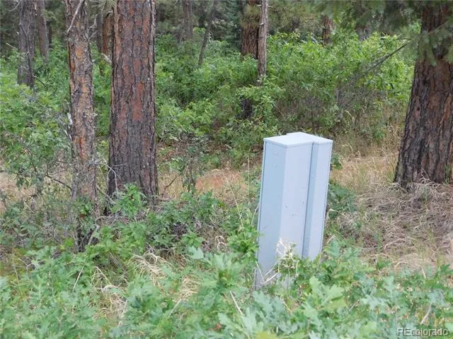 8169 Bannock Drive Larkspur, CO 80118