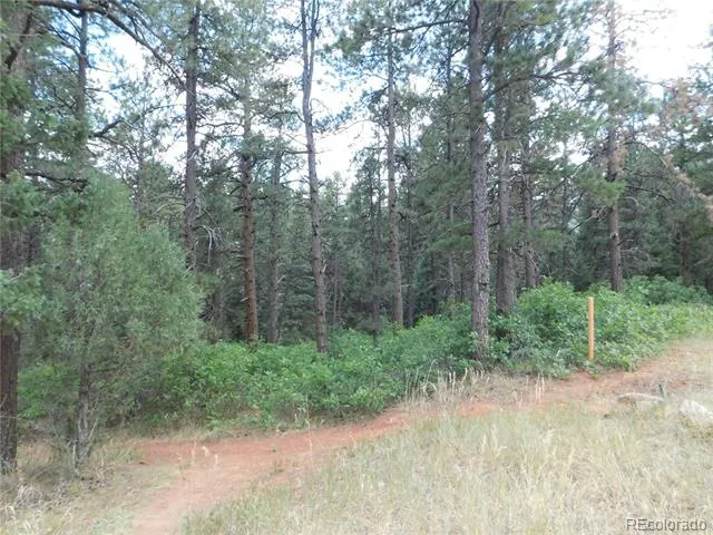 8169 Bannock Drive Larkspur, CO 80118