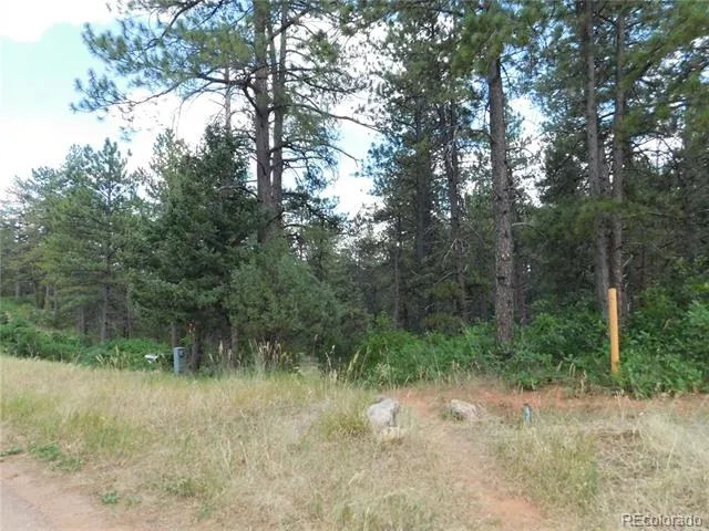 8169 Bannock Drive Larkspur, CO 80118