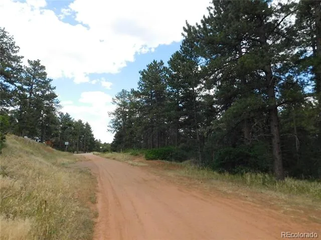 8169 Bannock Drive Larkspur, CO 80118