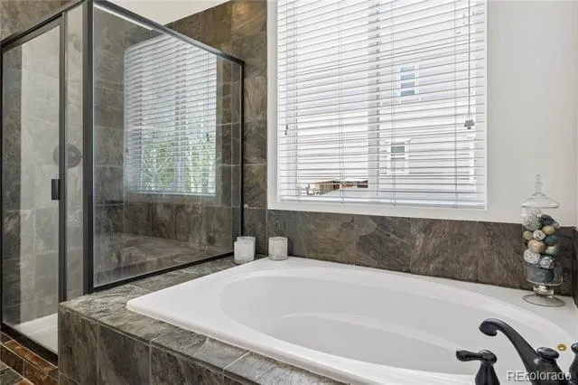 784 Ellsworth Court Castle Rock, CO 80104