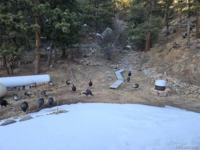 21005 State Highway 7 Lyons, CO 80540