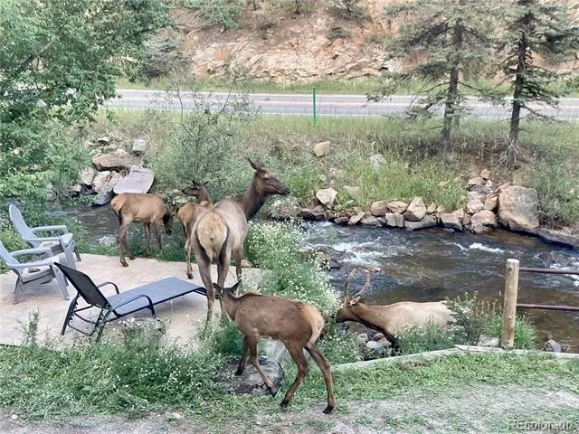 27154 Highway 74 Evergreen, CO 80439