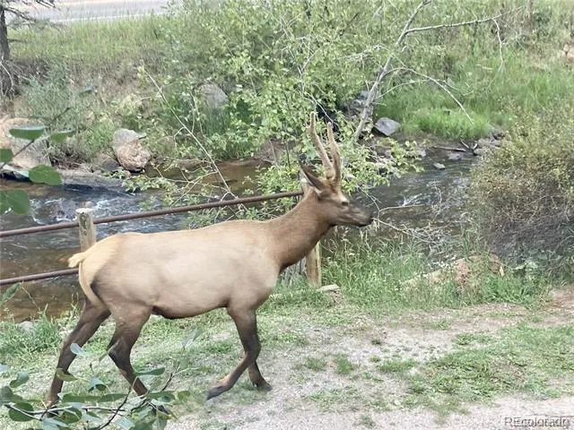 27154 Highway 74 Evergreen, CO 80439