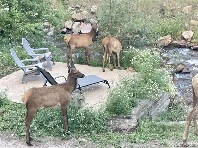 27154 Highway 74 Evergreen, CO 80439