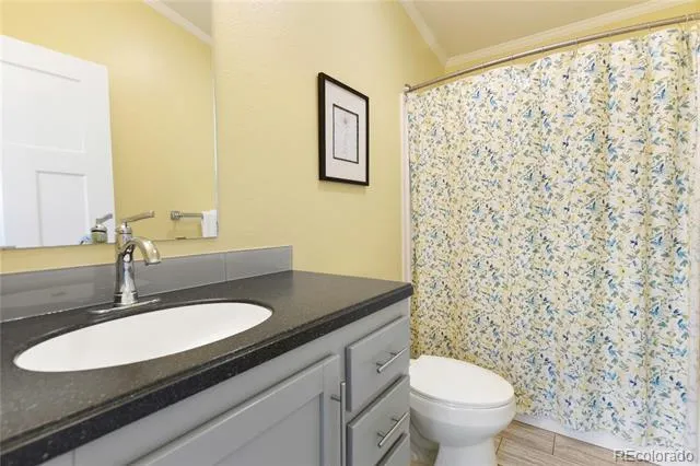 1431 Calm Mountain Point Woodland Park, CO 80863
