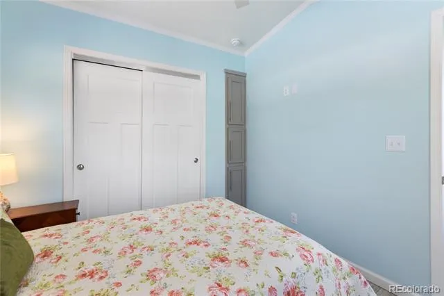 1431 Calm Mountain Point Woodland Park, CO 80863