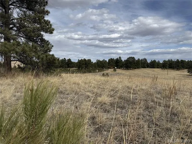 39080 County Road 21 Elizabeth, CO 80107