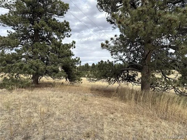 39080 County Road 21 Elizabeth, CO 80107