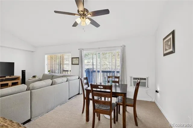 560 River View Drive #706 New Castle, CO 81647