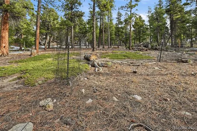 34089 Lyttle Dowdle Drive Golden, CO 80403