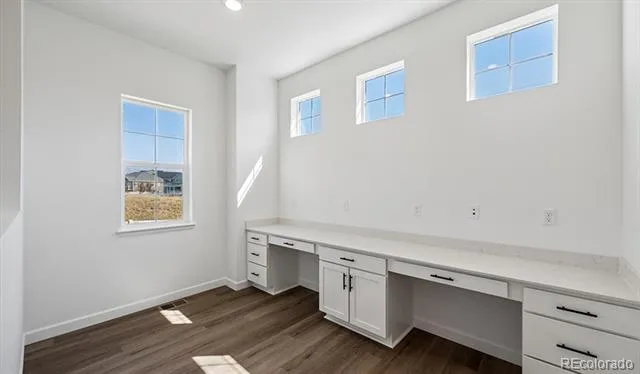 1667 Green Fern Point Castle Rock, CO 80104