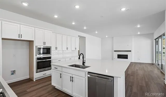 1667 Green Fern Point Castle Rock, CO 80104