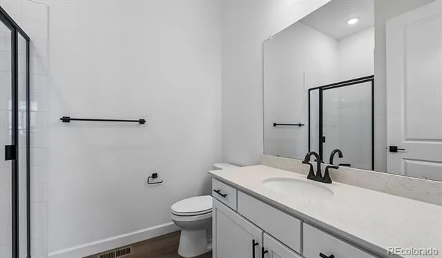 1667 Green Fern Point Castle Rock, CO 80104