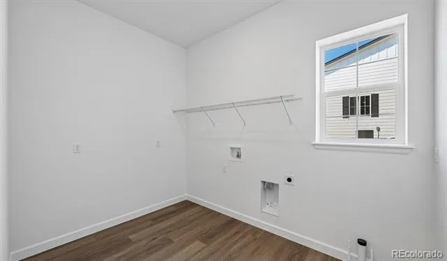 1667 Green Fern Point Castle Rock, CO 80104