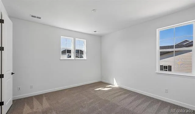 1667 Green Fern Point Castle Rock, CO 80104