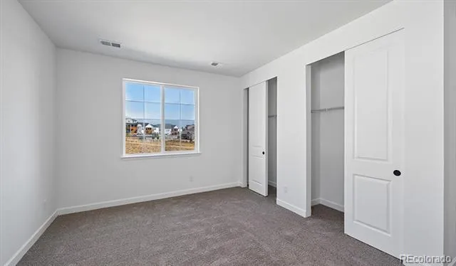 1667 Green Fern Point Castle Rock, CO 80104