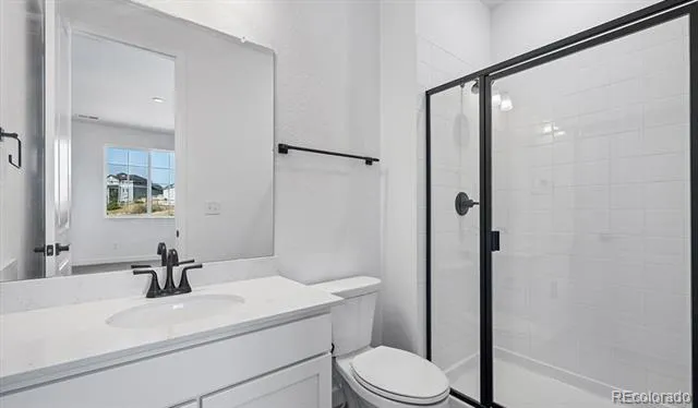 1667 Green Fern Point Castle Rock, CO 80104