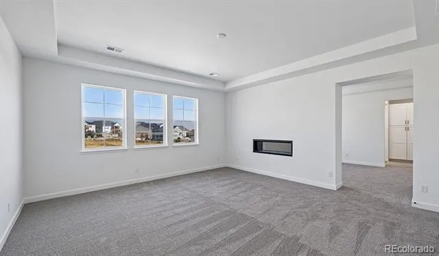 1667 Green Fern Point Castle Rock, CO 80104