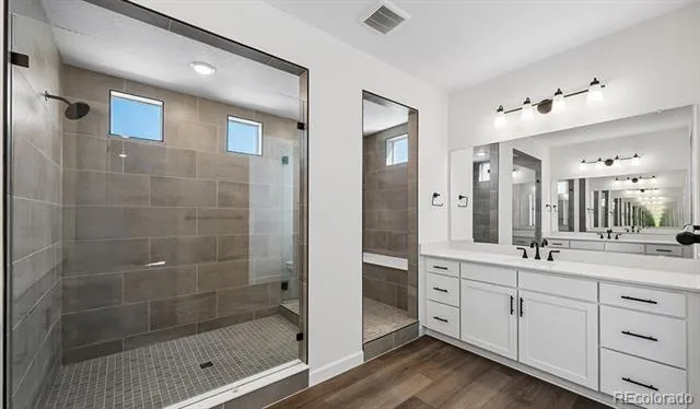 1667 Green Fern Point Castle Rock, CO 80104