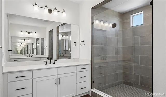 1667 Green Fern Point Castle Rock, CO 80104