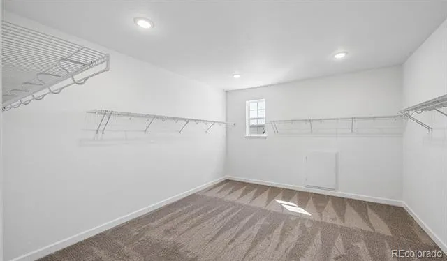 1667 Green Fern Point Castle Rock, CO 80104