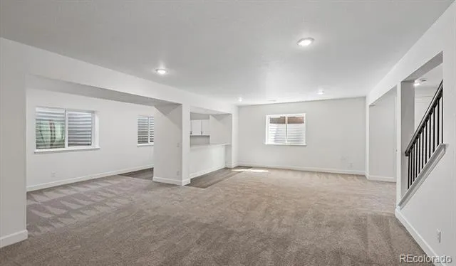 1667 Green Fern Point Castle Rock, CO 80104