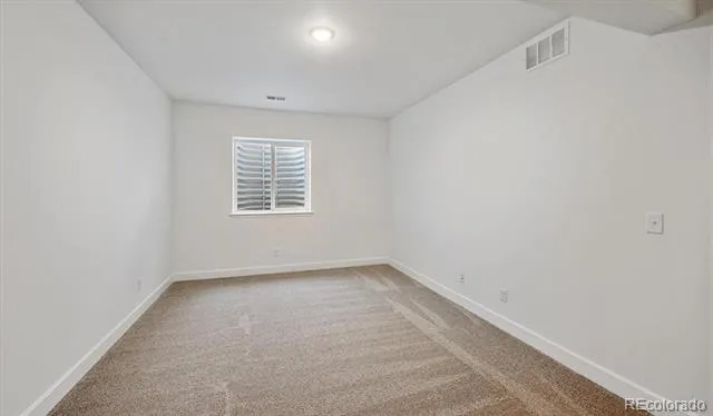 1667 Green Fern Point Castle Rock, CO 80104
