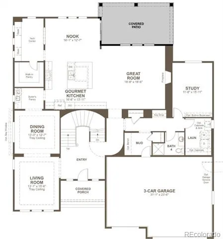1667 Green Fern Point Castle Rock, CO 80104