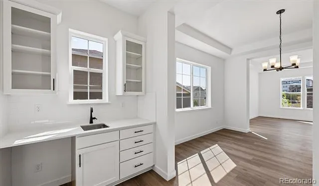 1667 Green Fern Point Castle Rock, CO 80104