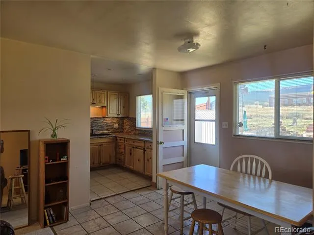 1309 Mount Elbert Drive Leadville, CO 80461
