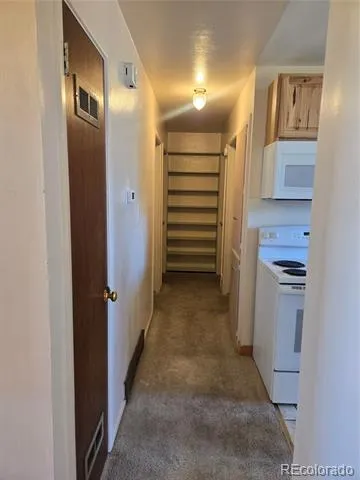 1309 Mount Elbert Drive Leadville, CO 80461