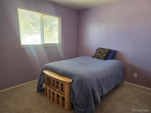 1309 Mount Elbert Drive Leadville, CO 80461