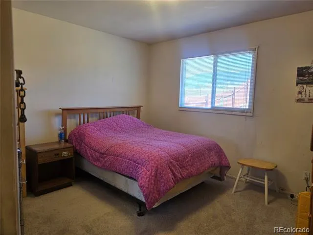 1309 Mount Elbert Drive Leadville, CO 80461