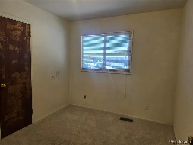1309 Mount Elbert Drive Leadville, CO 80461