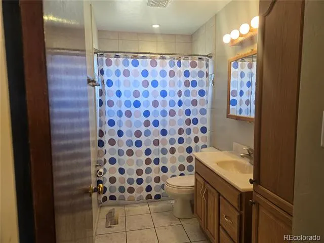 1309 Mount Elbert Drive Leadville, CO 80461